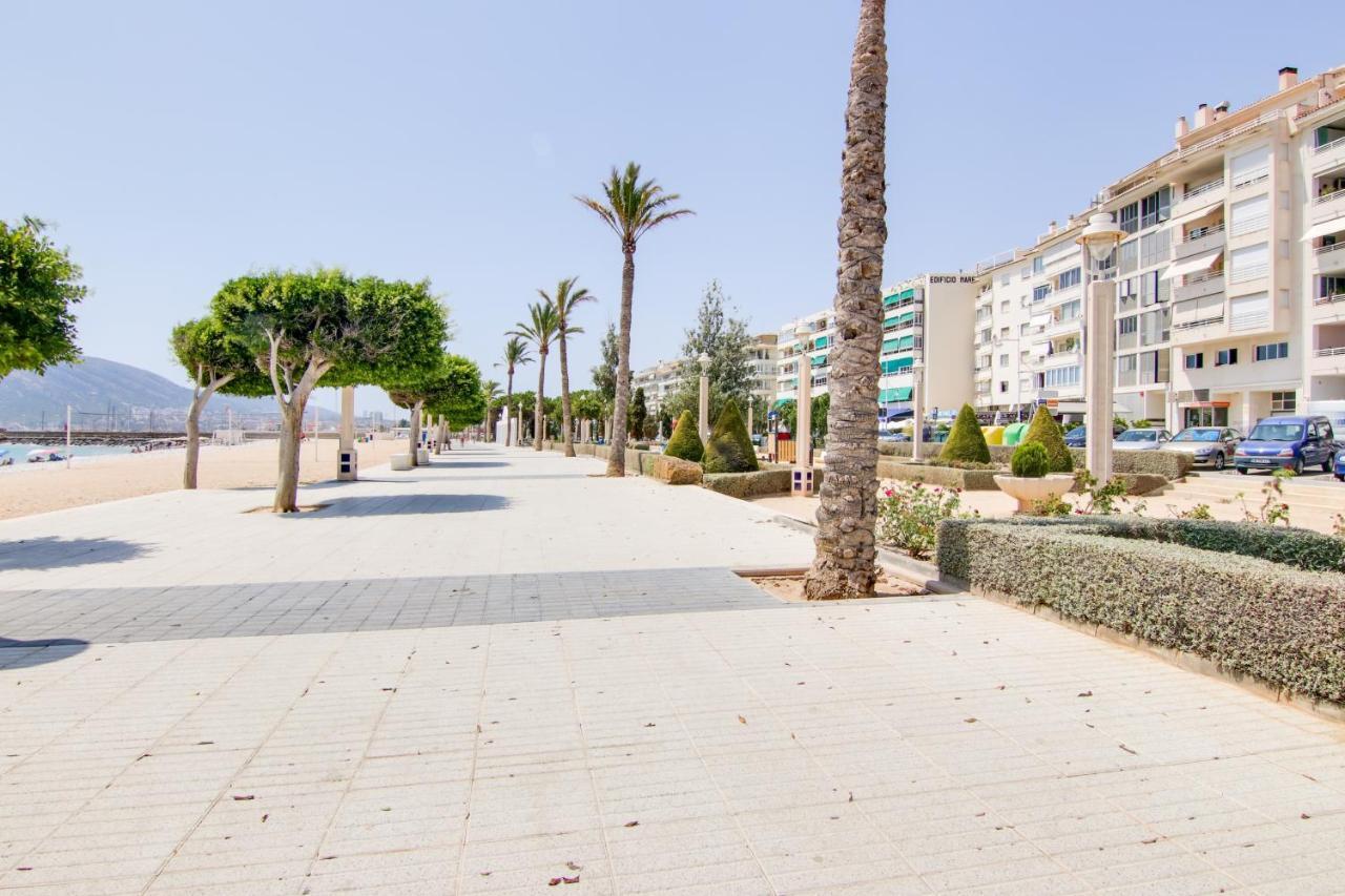 Altaia Altea